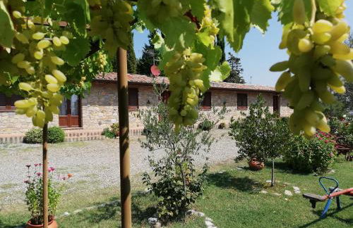 Agriturismo Collomici - Foto 10