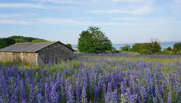 Holiday Home in Slite - Foto 5, Interior