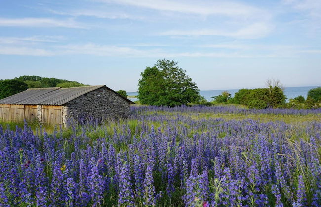 Holiday Home in Slite - Foto 5