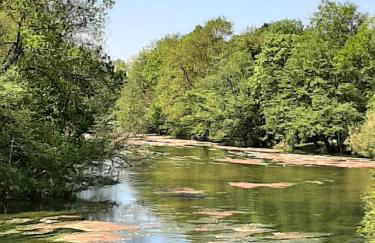 Dans moulin au bord de l'eau, Appartement chaleureux - Photo 25