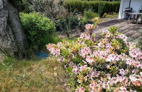 Spacieux Chalet en Bois Massif au coeur du Finistère - Foto 70