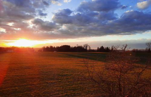 Asbichlerhof - Foto 5