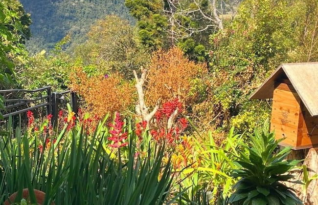 Jardin Tiny House Australia - Foto 13