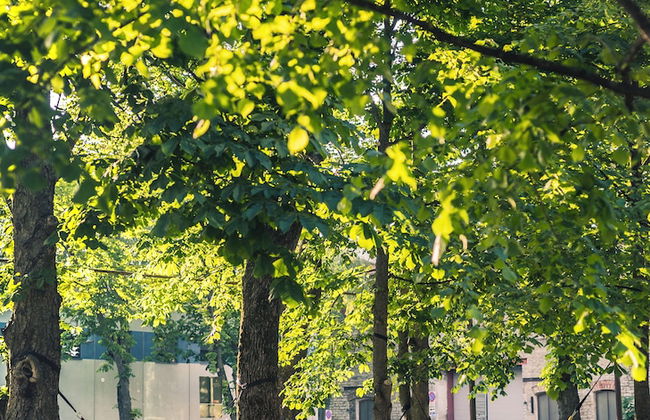 LURICH Residences - Foto 42