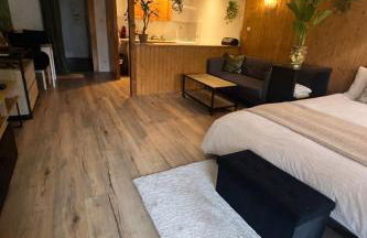 Jungle studio - Foto 5