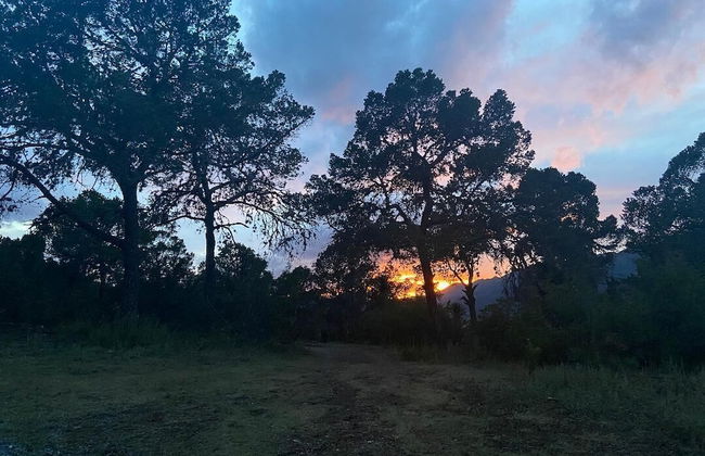 Las Estrellas Cabañas en el Bosque - Foto 35