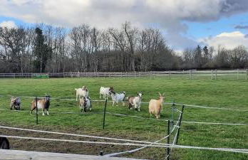 Blashford Manor Farmhouse Holiday Cottage - The Shire Cottage - Foto 12