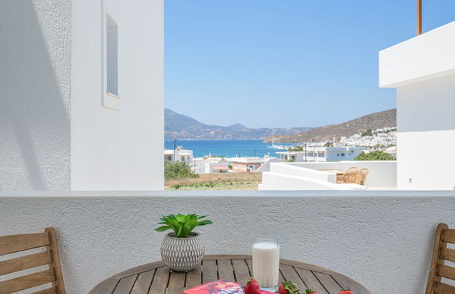 Ippocampos - Foto 47