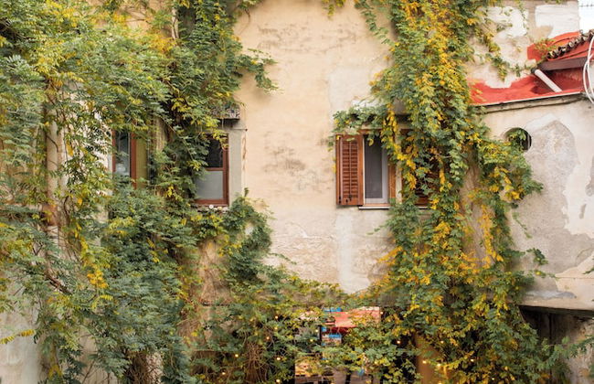 Una Terrazza Sul Mercato Del Capo By Wonderful Italy - Foto 27