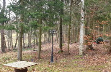 Waldhaus Hempe - Photo 7