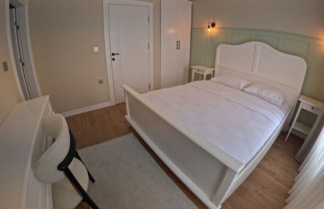 SUIT RABANDO - Photo 4