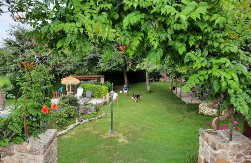 Apartamentos Alburiñas Ribeira Sacra - Foto 6