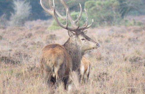 Perfect holiday Home from Home , three bedroom house for 5 guests - Foto 27