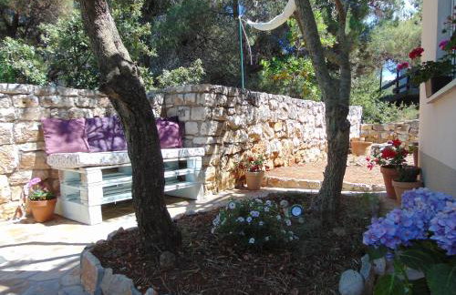 Apartments FRAGOLINA - Photo 35