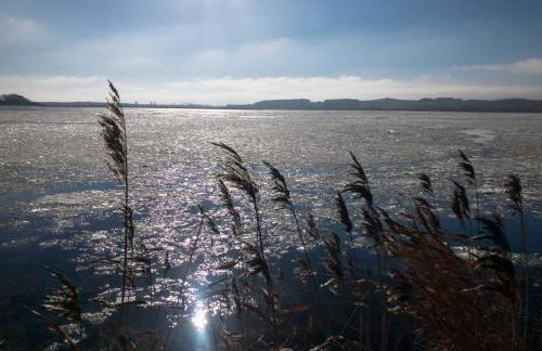 Hoeft Residenz Alt Reddevitz - Foto 34