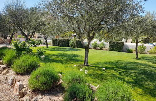 Gîte provençal indépendant avec piscine chauffée : LE SUY BIEN - Foto 35
