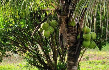 RECANTO DO SABIÁ - Foto 22