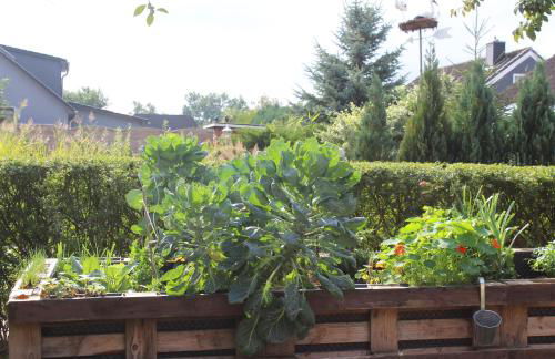 Ferienwohnung Fleur de Lys Urlaub auf Anfrage mit Hund - Foto 10