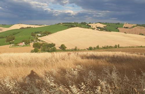 Apartment Terre Roveresche - Photo 9