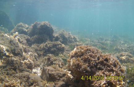 Mirador del Mar - Foto 58