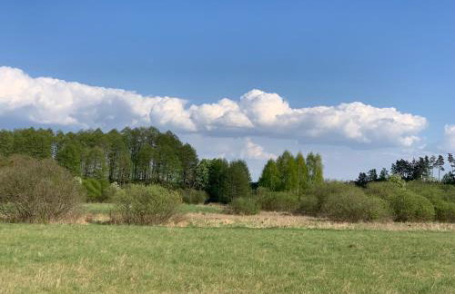 Domek nad Śniardwami - Foto 33