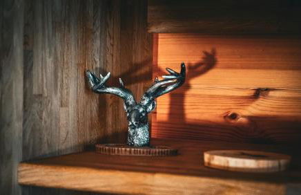 The Firs Country Park - Foto 116