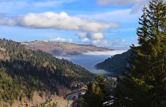 VVF Le Lioran Les Monts du Cantal, Saint Jacques des Blats - Photo 57