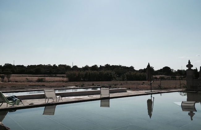 Quinta dos Carvalhos - Foto 25