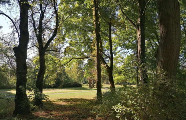 Spacious Apartment in Weser Uplands With Garden - Foto 61