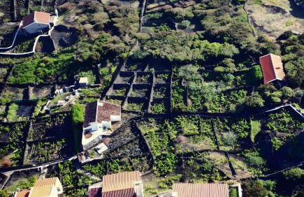 Breathe Nature - Beach House Azores - Foto 14