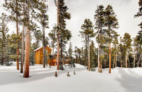 Serene Mountain Cabin Nestled Amongst the Pines - Alpenhaus - Foto 30