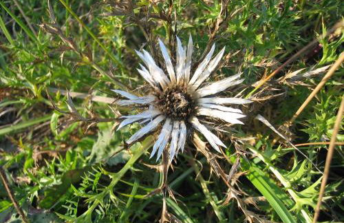 Gästehaus Klein - Foto 33