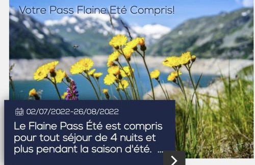 Spacious Apartment Iris, Flaine Foret - Foto 69