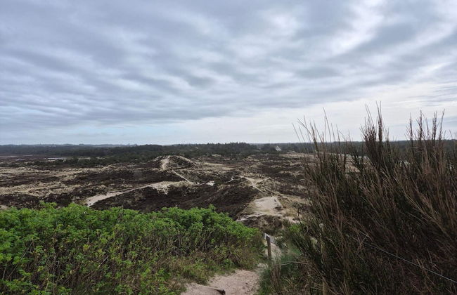 Holiday Home in Nørre Nebel - Foto 15