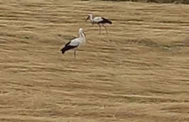 Loft Ziegelei - Foto 41