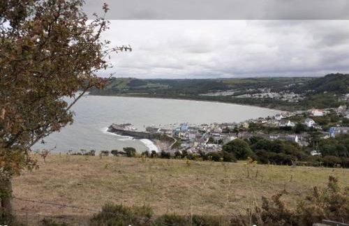 Newquay Haven caravan 42x14 with Ocean Views - Foto 78