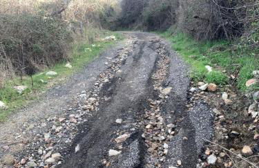 Nido Estebana - Foto 49