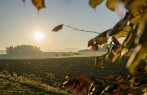 Ferienwohnung in Brand Finkenhöhe - Foto 18