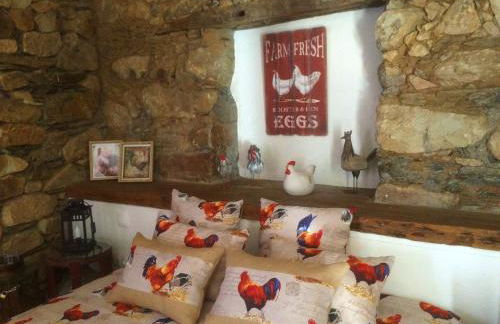 Couto dos Pardinhos - Foto 25