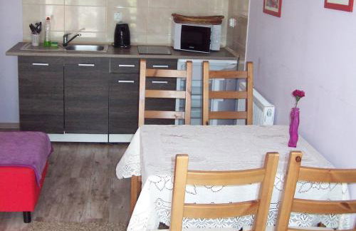 Apartamenty Dzika Orlica - Foto 76