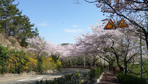 Busan City A Course - Tour Privado de Dia Inteiro - Foto 5