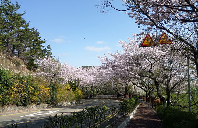 Busan City A Kurs - Ganztägige Private Tour - Foto 5