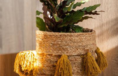 Santa Maria Mare - Foto 31