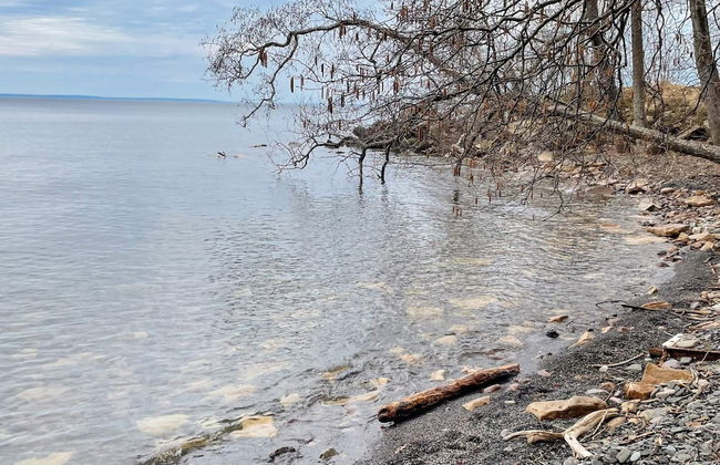 4 Person Holiday Home in Granna - Photo 29