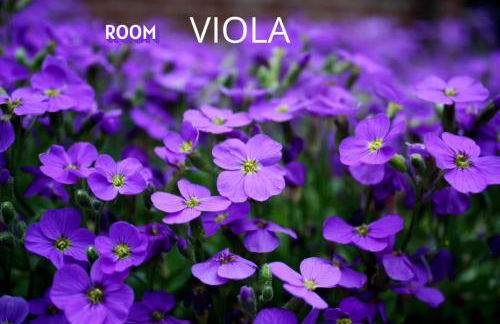 Agriturismo Terre Rosse Portofino - Foto 35