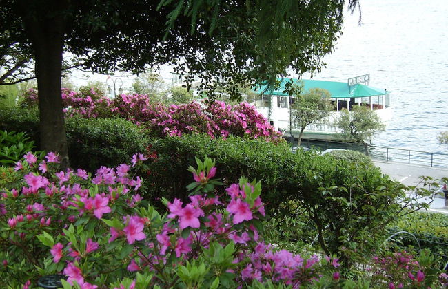 Azalea & Glicine House - Foto 53