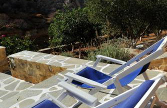 Hydra Erato - Foto 47