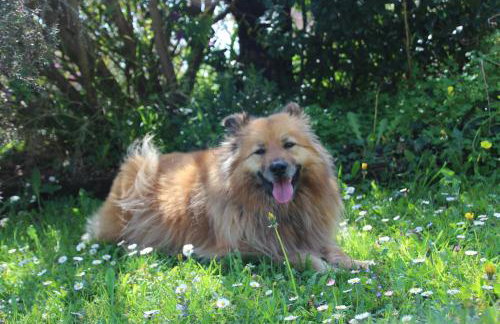 Gane Landetxea - Foto 12