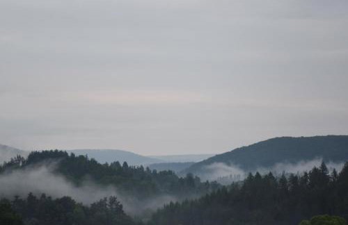 Domki w Bieszczadach Nowa Zelandia - Photo 28