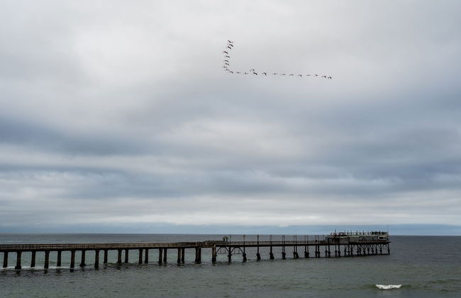 The Pearls Beach Pods - Foto 40